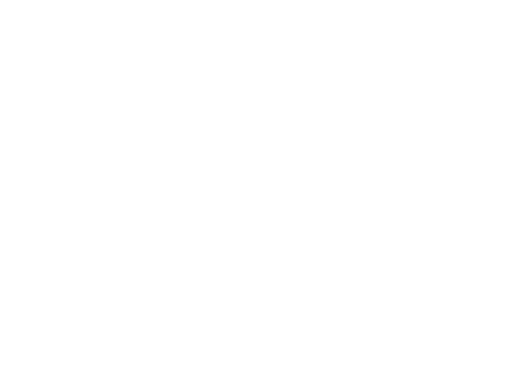 Allan Brachman CPA